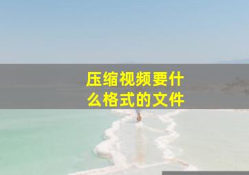 压缩视频要什么格式的文件