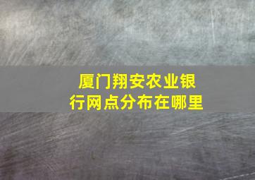 厦门翔安农业银行网点分布在哪里