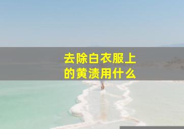 去除白衣服上的黄渍用什么