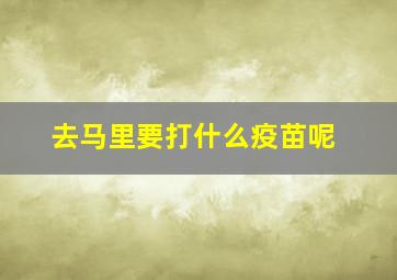 去马里要打什么疫苗呢