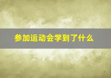 参加运动会学到了什么