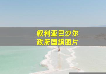 叙利亚巴沙尔政府国旗图片