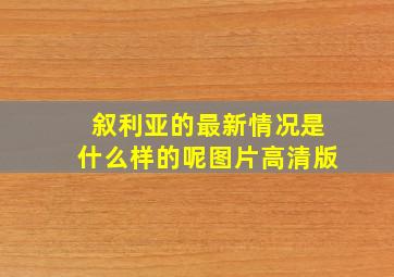 叙利亚的最新情况是什么样的呢图片高清版