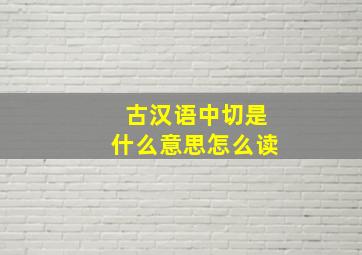 古汉语中切是什么意思怎么读