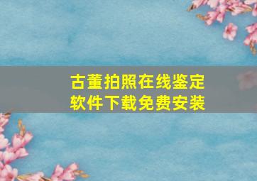 古董拍照在线鉴定软件下载免费安装