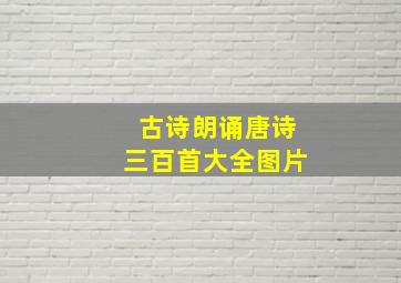 古诗朗诵唐诗三百首大全图片