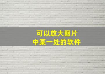 可以放大图片中某一处的软件