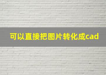 可以直接把图片转化成cad