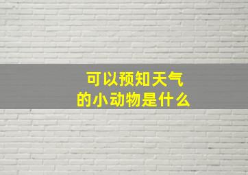 可以预知天气的小动物是什么