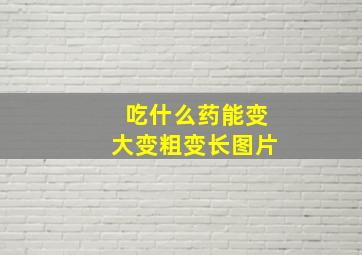 吃什么药能变大变粗变长图片