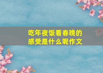 吃年夜饭看春晚的感受是什么呢作文