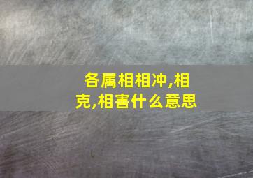 各属相相冲,相克,相害什么意思