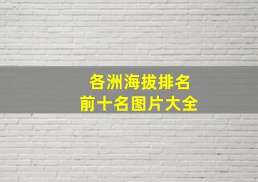 各洲海拔排名前十名图片大全