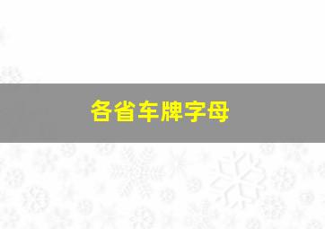 各省车牌字母