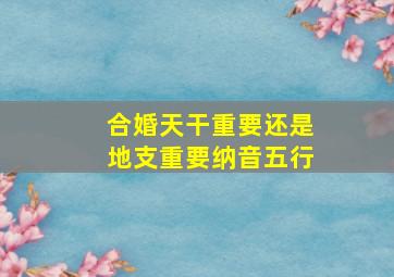 合婚天干重要还是地支重要纳音五行