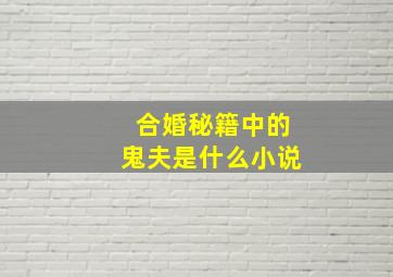 合婚秘籍中的鬼夫是什么小说