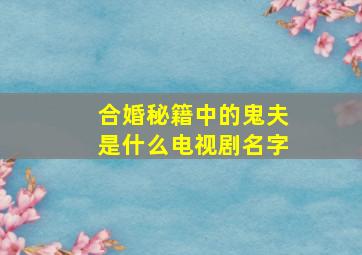 合婚秘籍中的鬼夫是什么电视剧名字