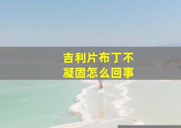 吉利片布丁不凝固怎么回事