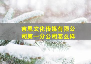 吉恩文化传媒有限公司第一分公司怎么样