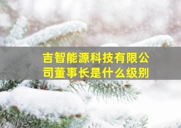 吉智能源科技有限公司董事长是什么级别