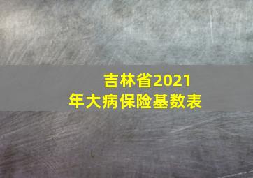 吉林省2021年大病保险基数表