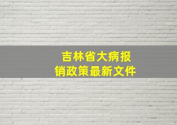 吉林省大病报销政策最新文件