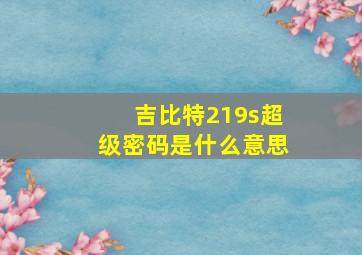 吉比特219s超级密码是什么意思