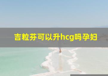 吉粒芬可以升hcg吗孕妇