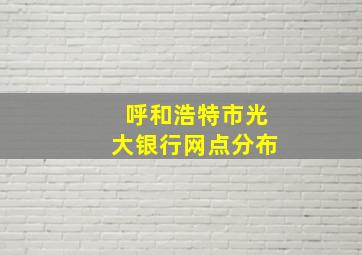 呼和浩特市光大银行网点分布