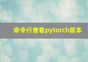 命令行查看pytorch版本