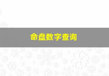 命盘数字查询