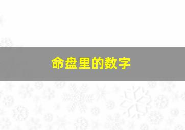 命盘里的数字