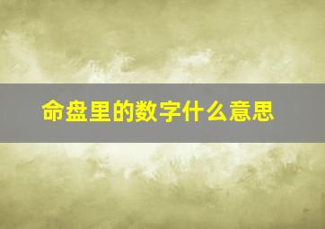 命盘里的数字什么意思