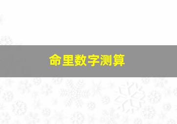 命里数字测算