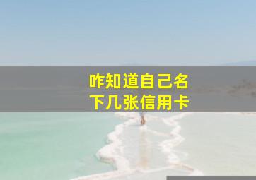 咋知道自己名下几张信用卡