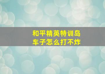 和平精英特训岛车子怎么打不炸