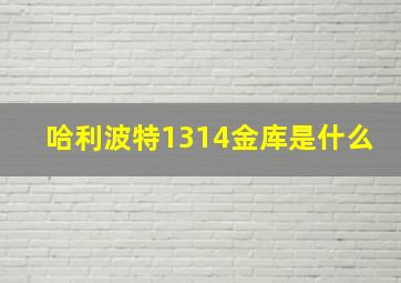 哈利波特1314金库是什么