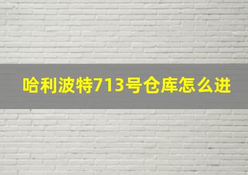 哈利波特713号仓库怎么进