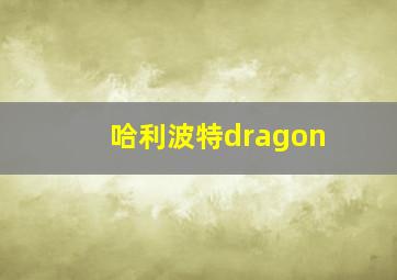 哈利波特dragon