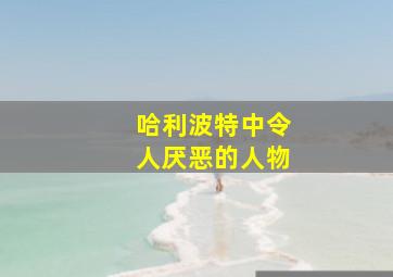 哈利波特中令人厌恶的人物