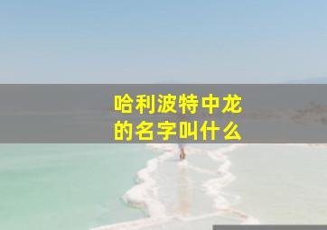 哈利波特中龙的名字叫什么