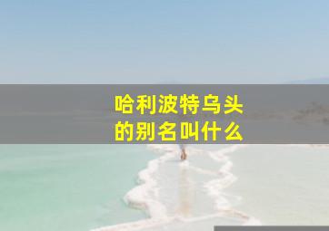 哈利波特乌头的别名叫什么