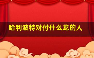 哈利波特对付什么龙的人