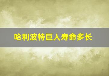 哈利波特巨人寿命多长