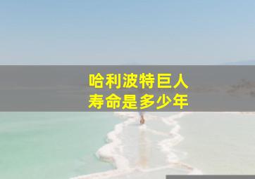 哈利波特巨人寿命是多少年