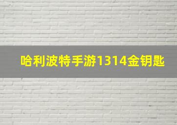 哈利波特手游1314金钥匙