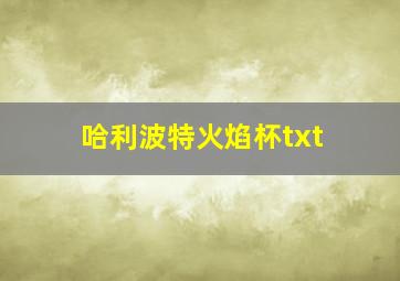 哈利波特火焰杯txt