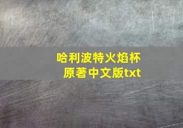 哈利波特火焰杯原著中文版txt