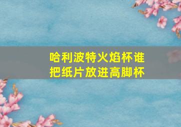 哈利波特火焰杯谁把纸片放进高脚杯