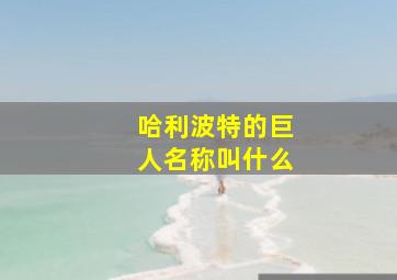 哈利波特的巨人名称叫什么